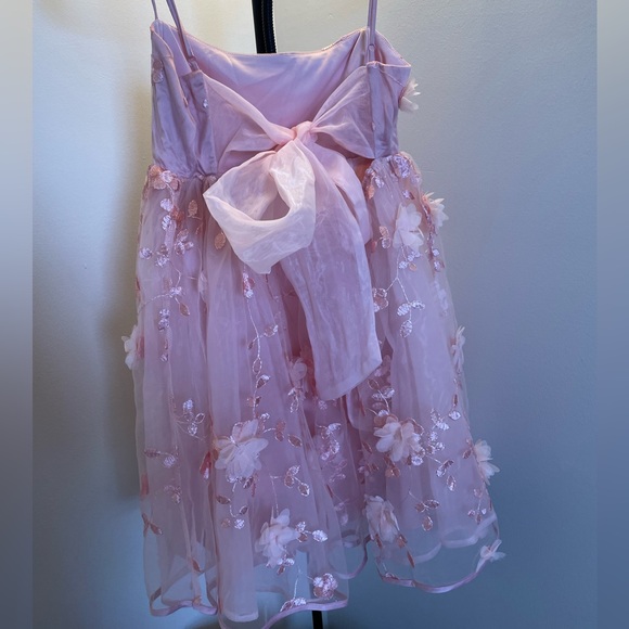 Windsor Pink Chiffon Babydoll Dress - Picture 5 of 6